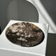Dish in petrified wood