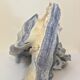 Ancien corail bleu