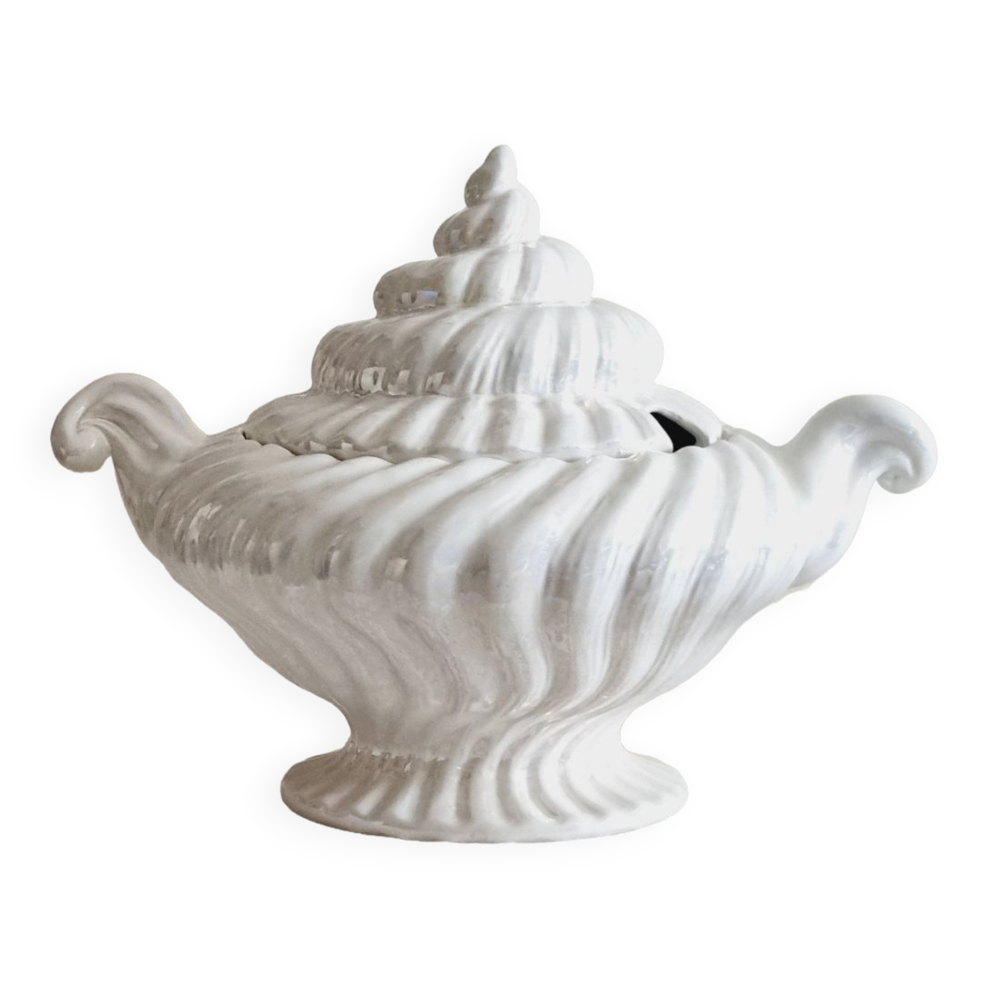 Shell tureen in slurry Portugal