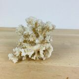 Corail