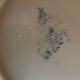 Lot of 4 old Longchamp plates