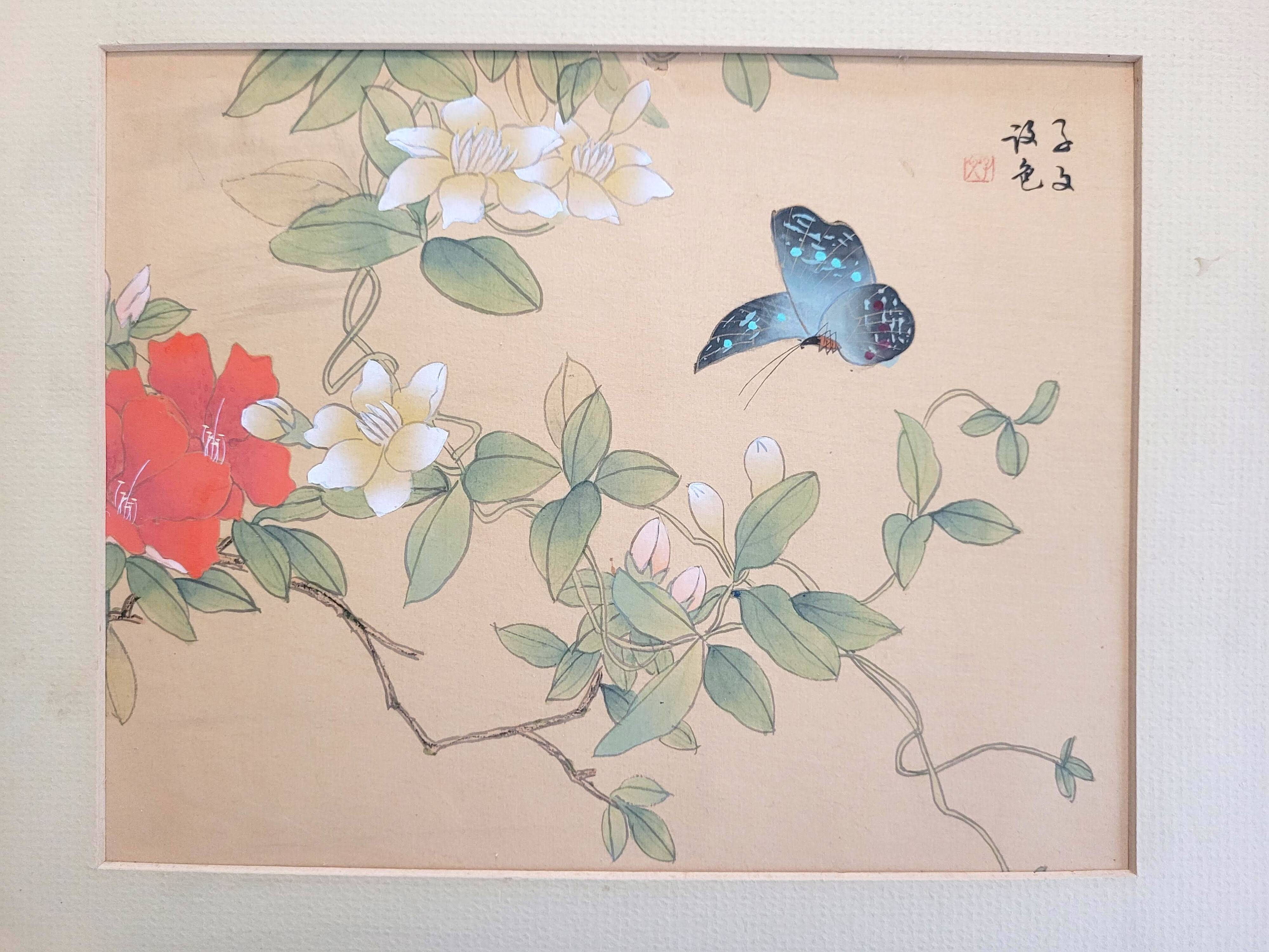 Ancient Chinese painting - Butterfly and flowers