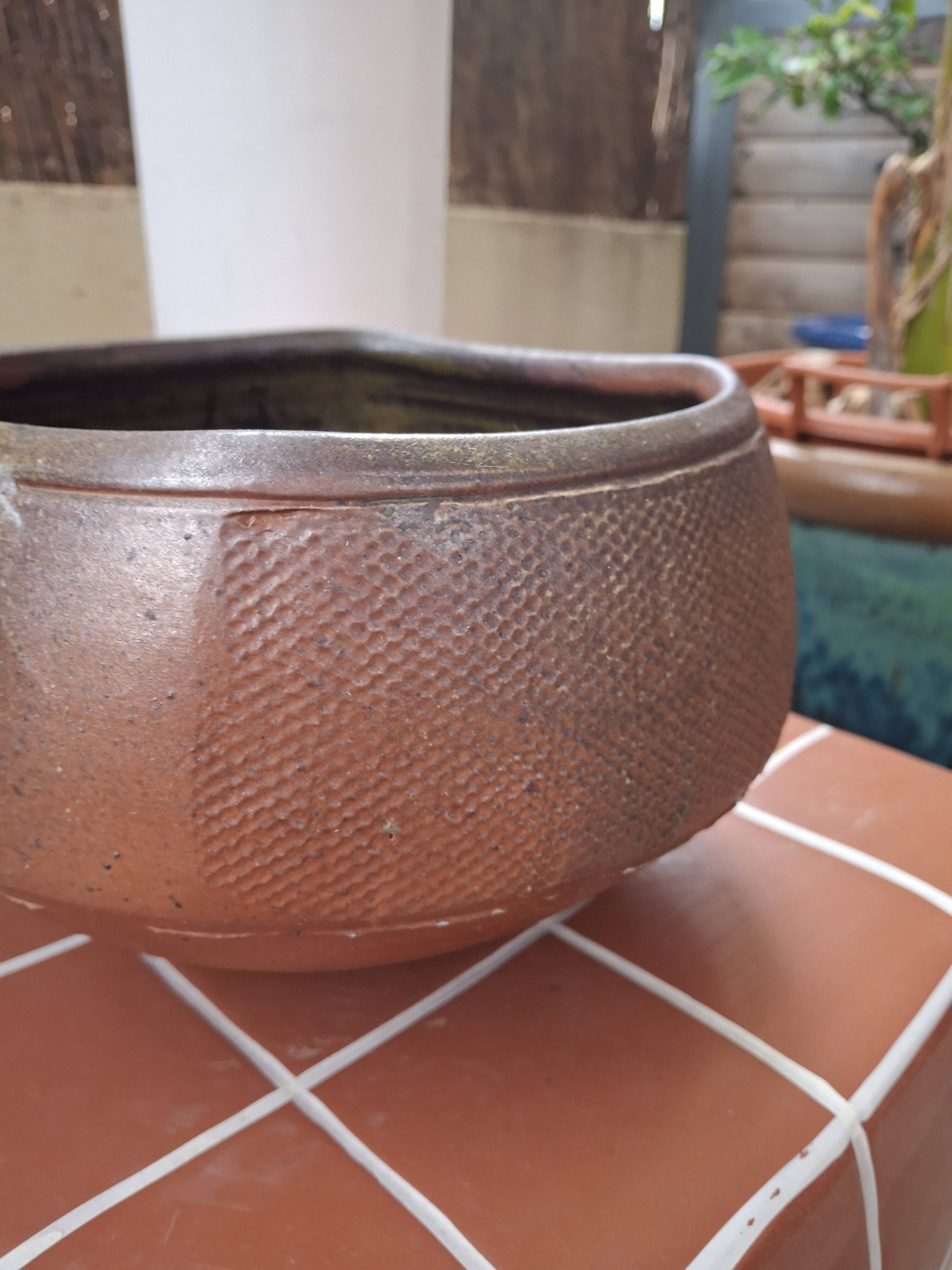 Eric Astoul planter