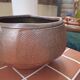 Eric Astoul planter