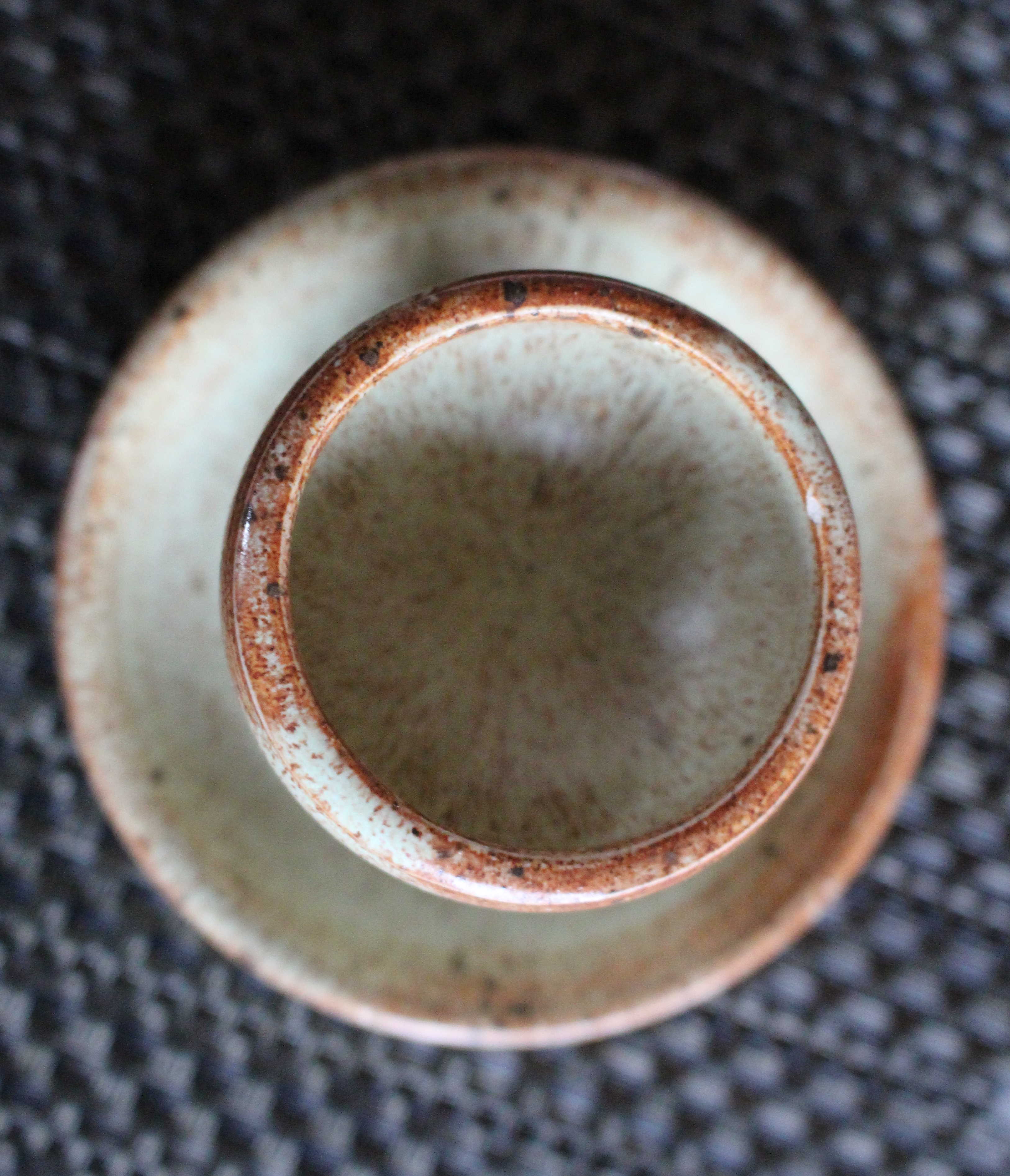 4 ceramic cockroaches