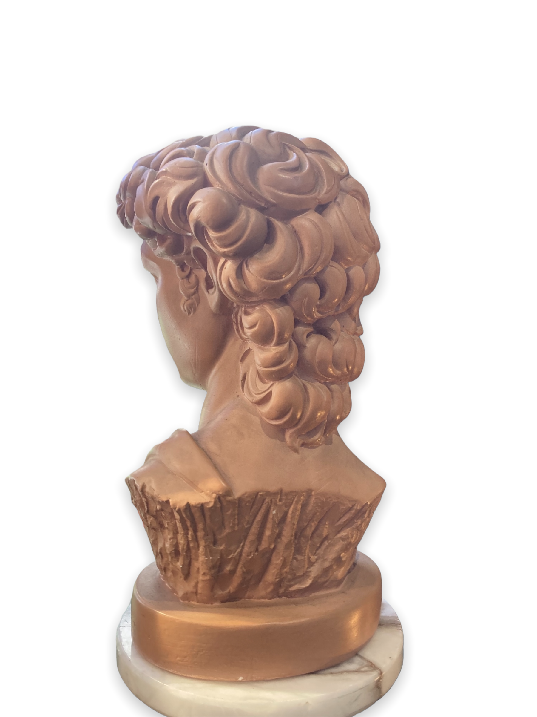 Bust David in plaster