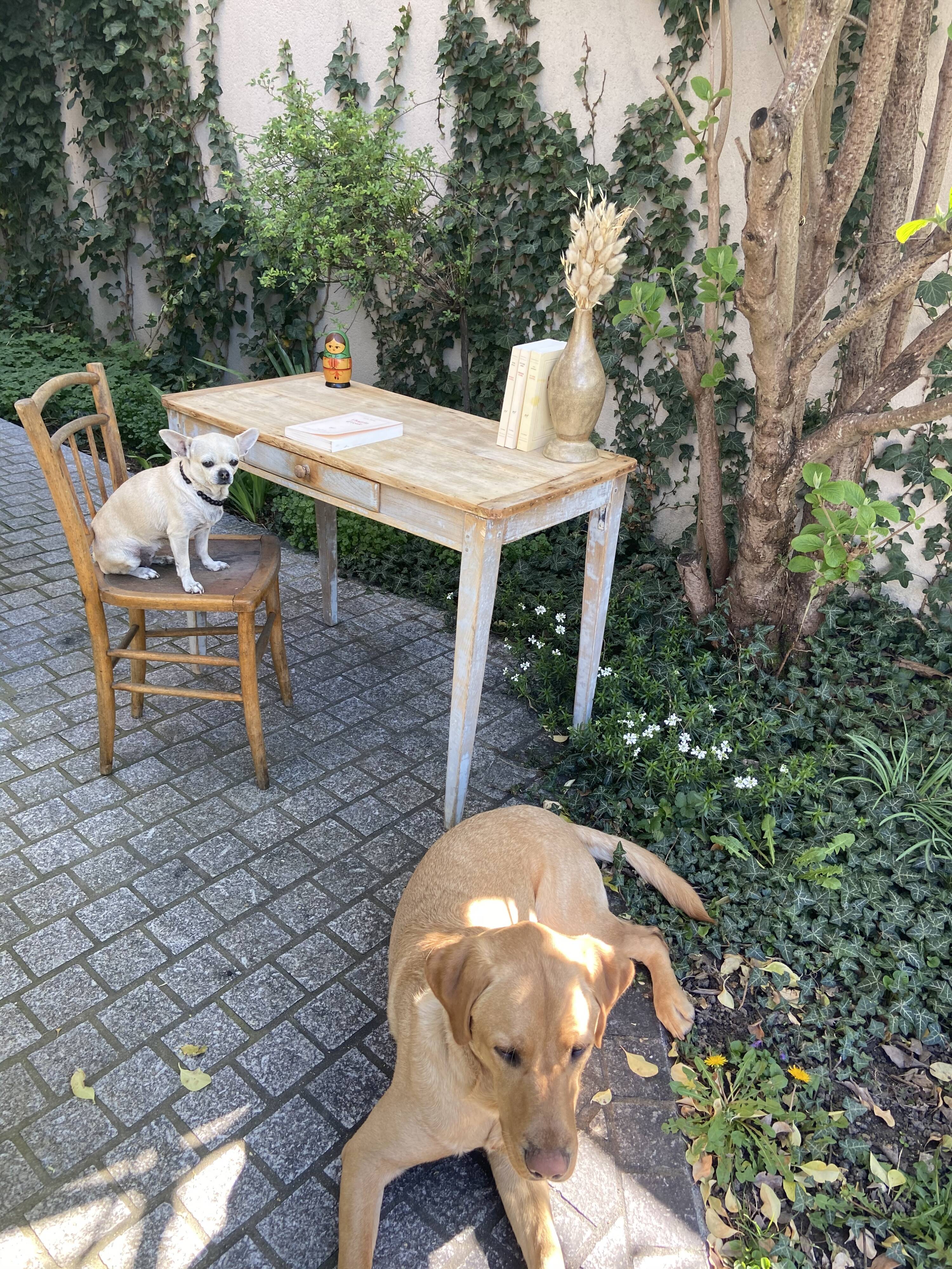 Small vintage farm table 1940 / 50