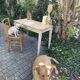 Small vintage farm table 1940 / 50