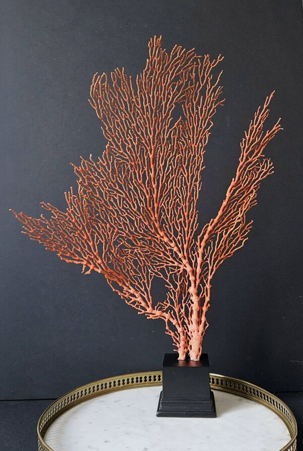 Gorgone Rouge XXL Socle en bois. H : 47 cm   Objet de Décoration l PlaceOdd