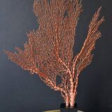 Gorgone Rouge XXL Wooden Base. H: 47 cm | Decorative Object l PlaceOdd