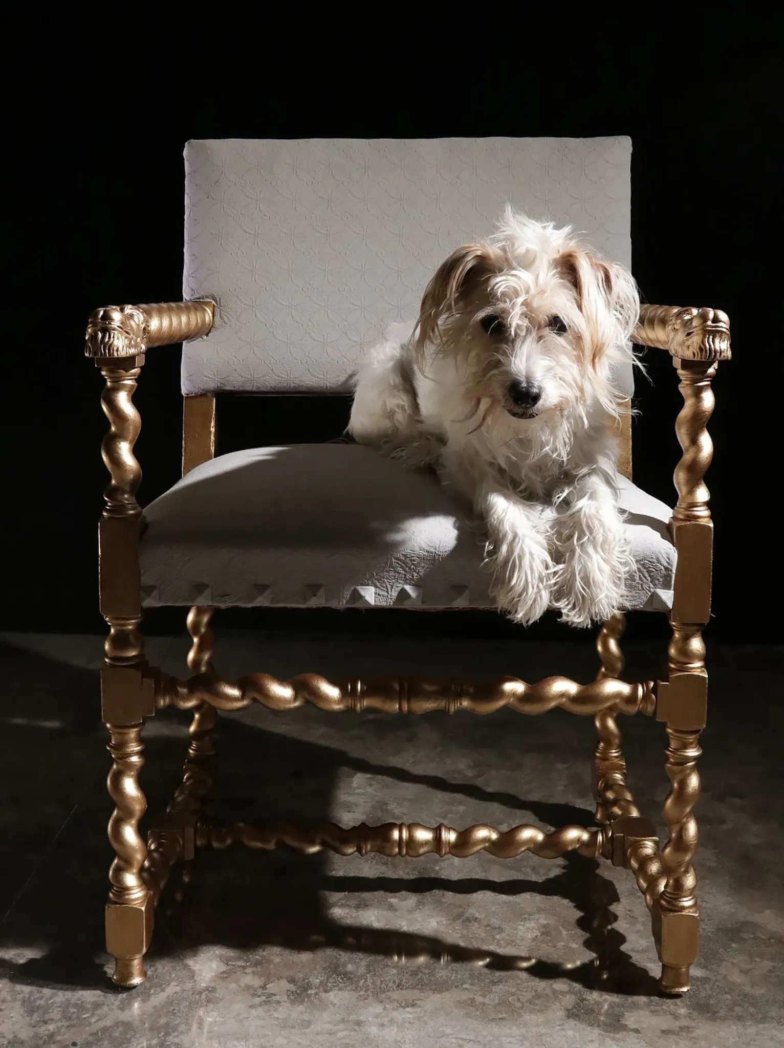 Gold and grey château armchair