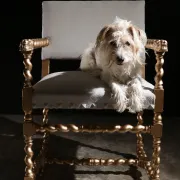 Gold and grey château armchair
