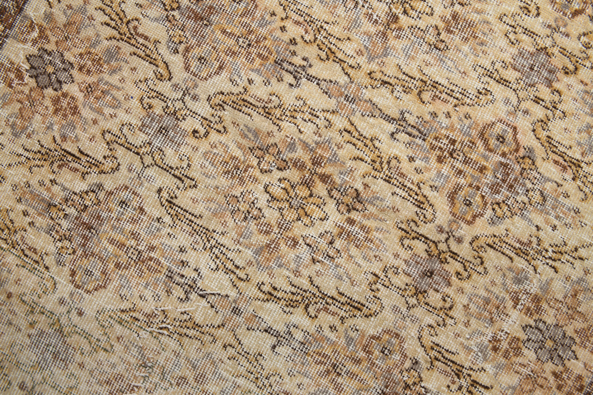 Tapis Floral 254x159Cm