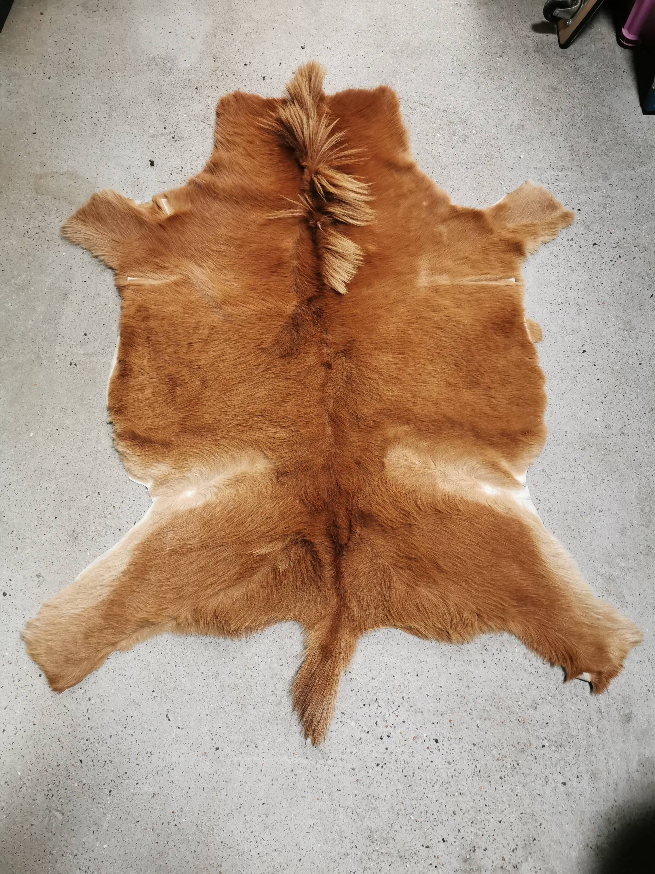 Vintage pony skin rug