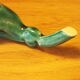 Set of 12 knife holders