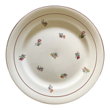 Plate earthenware Salins