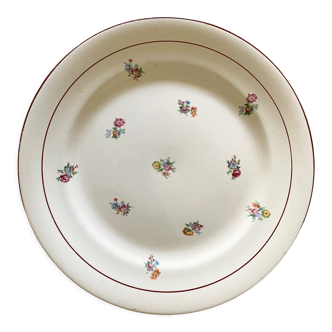 Plate earthenware Salins