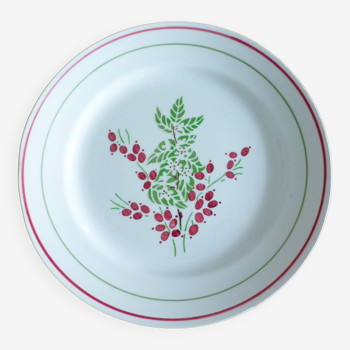 1 red and green dinner plate 221238