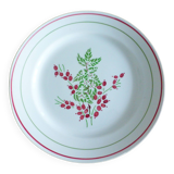 1 red and green flat plate 221238