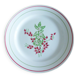 1 assiette plate rouge et verte 221238