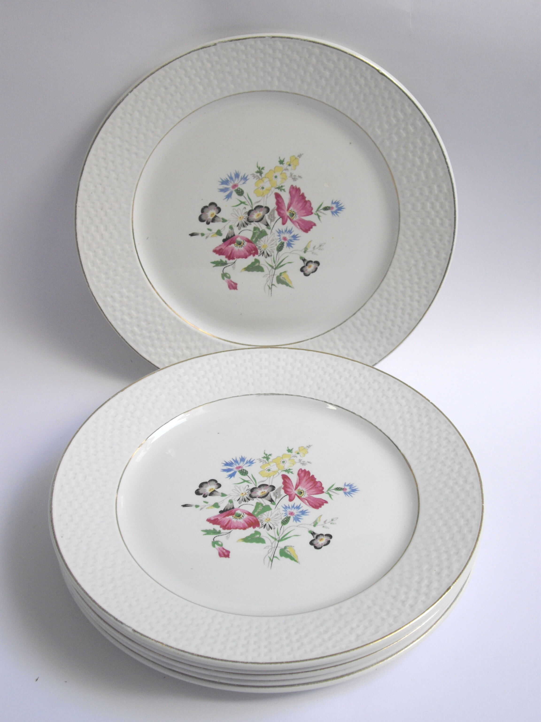 6 flat plates Digoin & Sarreguemines Floralies
