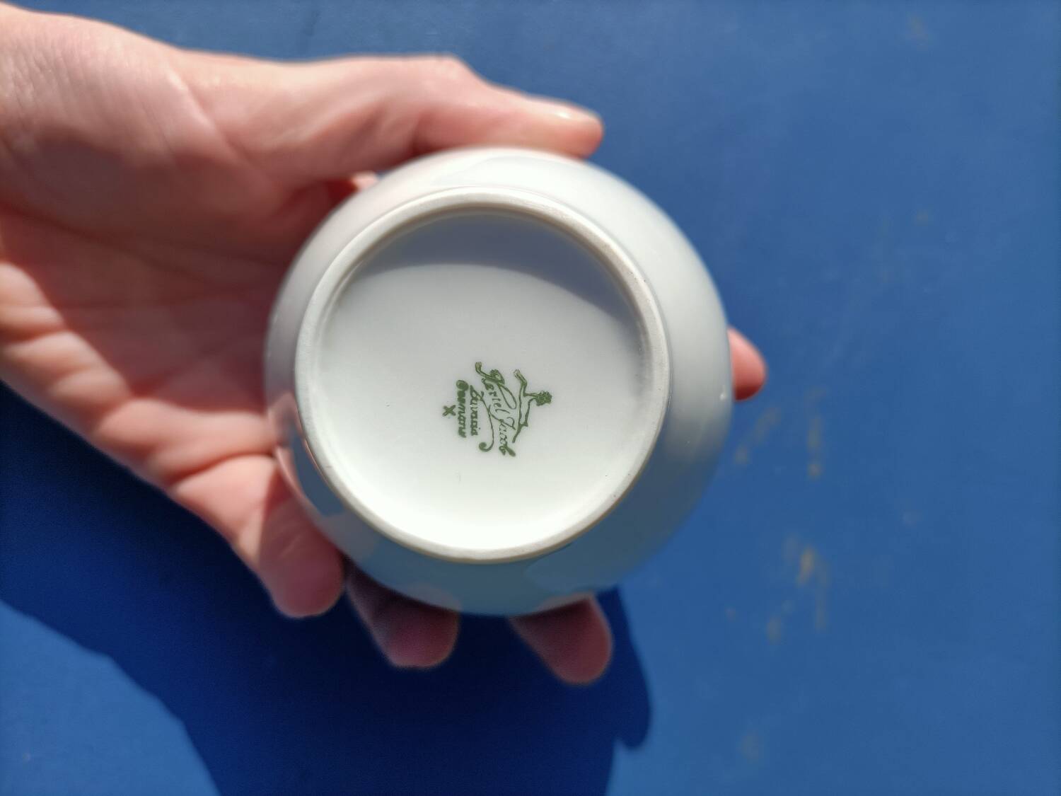 Hertel Jacob Bavaria Tea Set