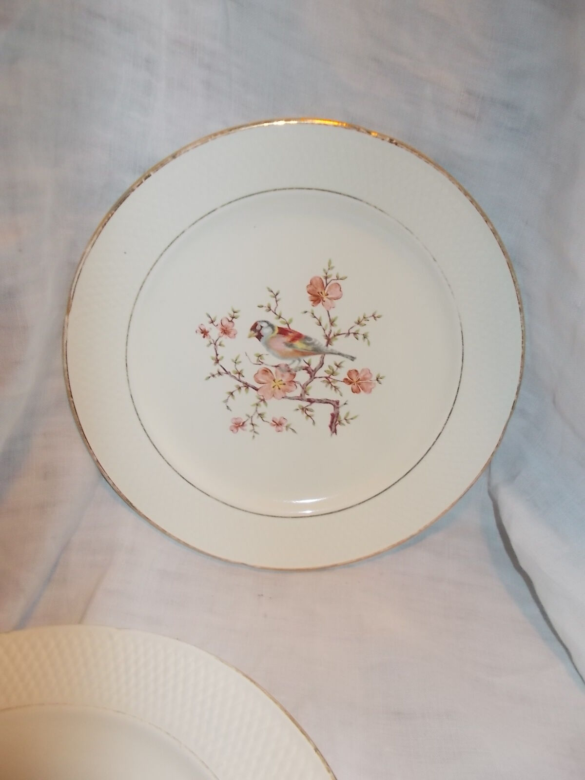 Lot 6 plates dessert saline France