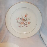 Lot 6 plates dessert saline France