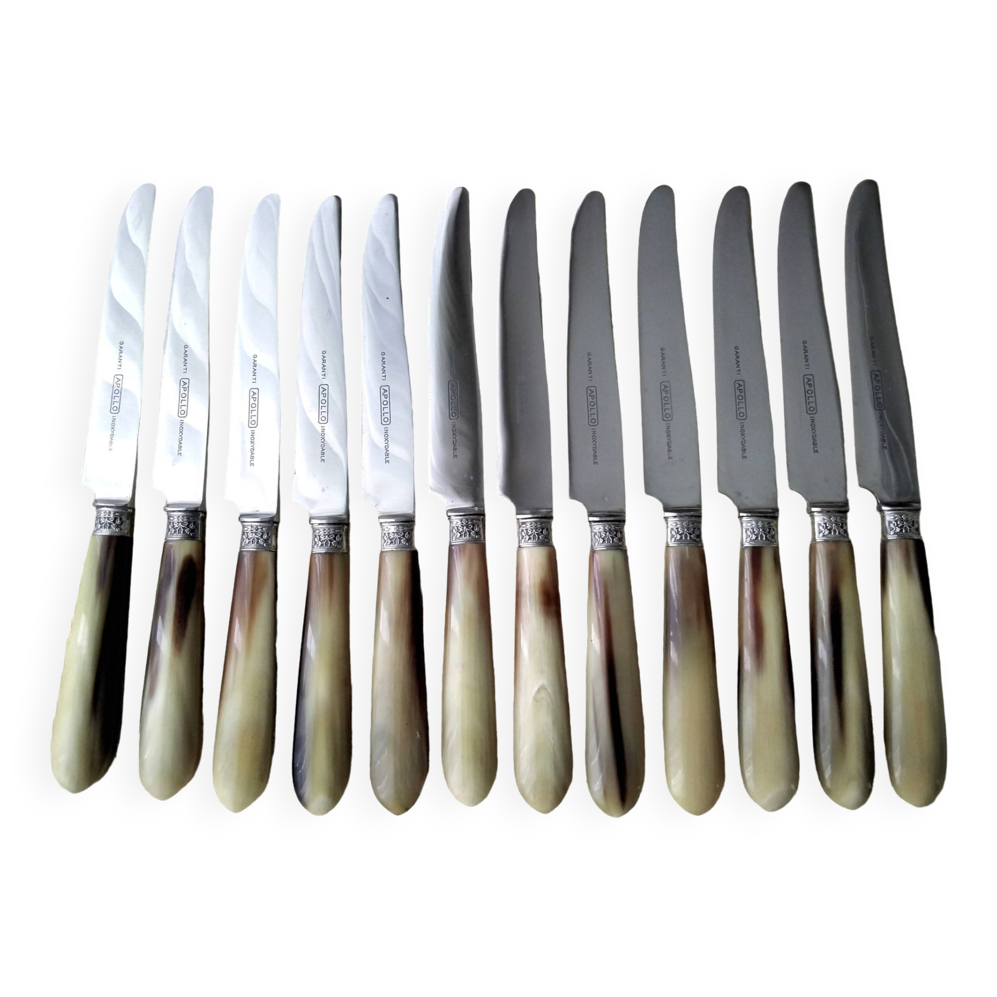 12 Apollo table knives in stainless steel and bovine horn