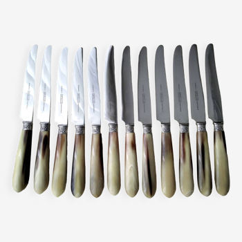 12 Apollo table knives in stainless steel and bovine horn