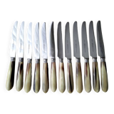 12 Apollo table knives in stainless steel and bovine horn