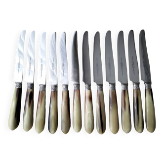 12 Apollo table knives in stainless steel and bovine horn