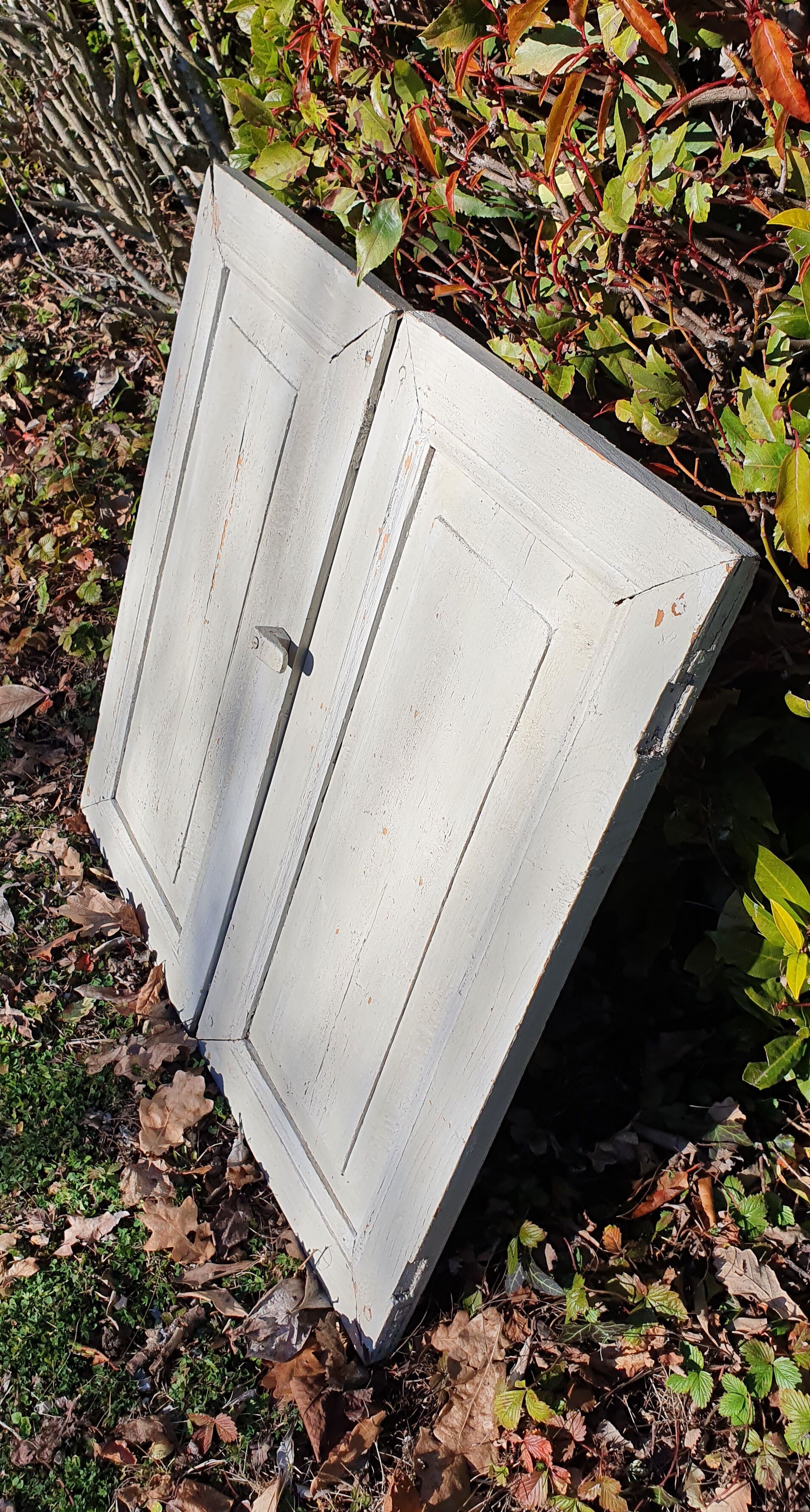 Old doors