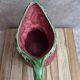 Strawberry-shaped earthenware jug – vintage ceramic