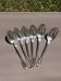 6 Small Spoons Charles Roux Paris in Silver-Plated Metal - Old Net Model