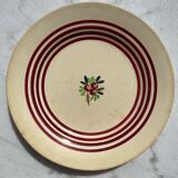 7 gien plates
