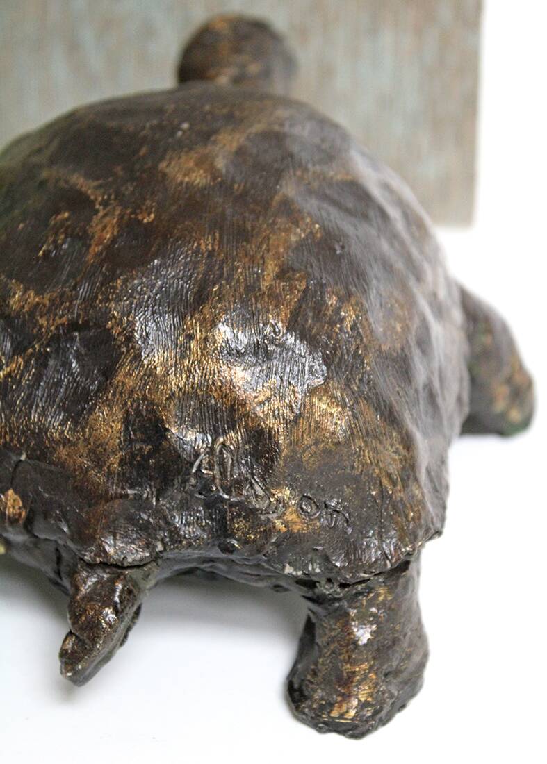 Turtle signed Closon