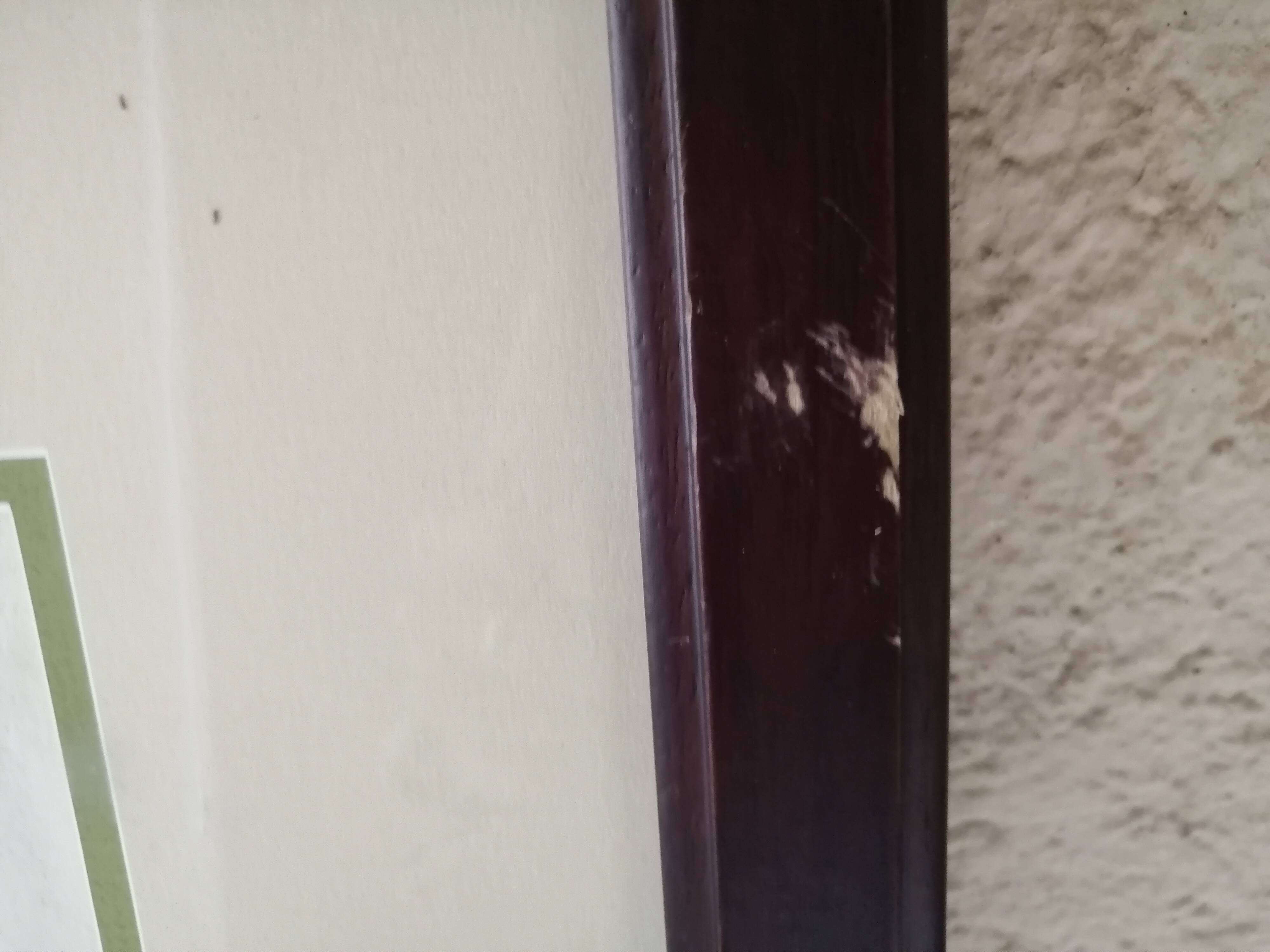 Framed ancient lithography by Martinet and Son