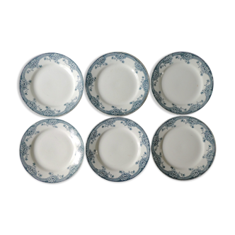 Set of 6 flat plates, Saint Amand model Suzanne, floral decoration