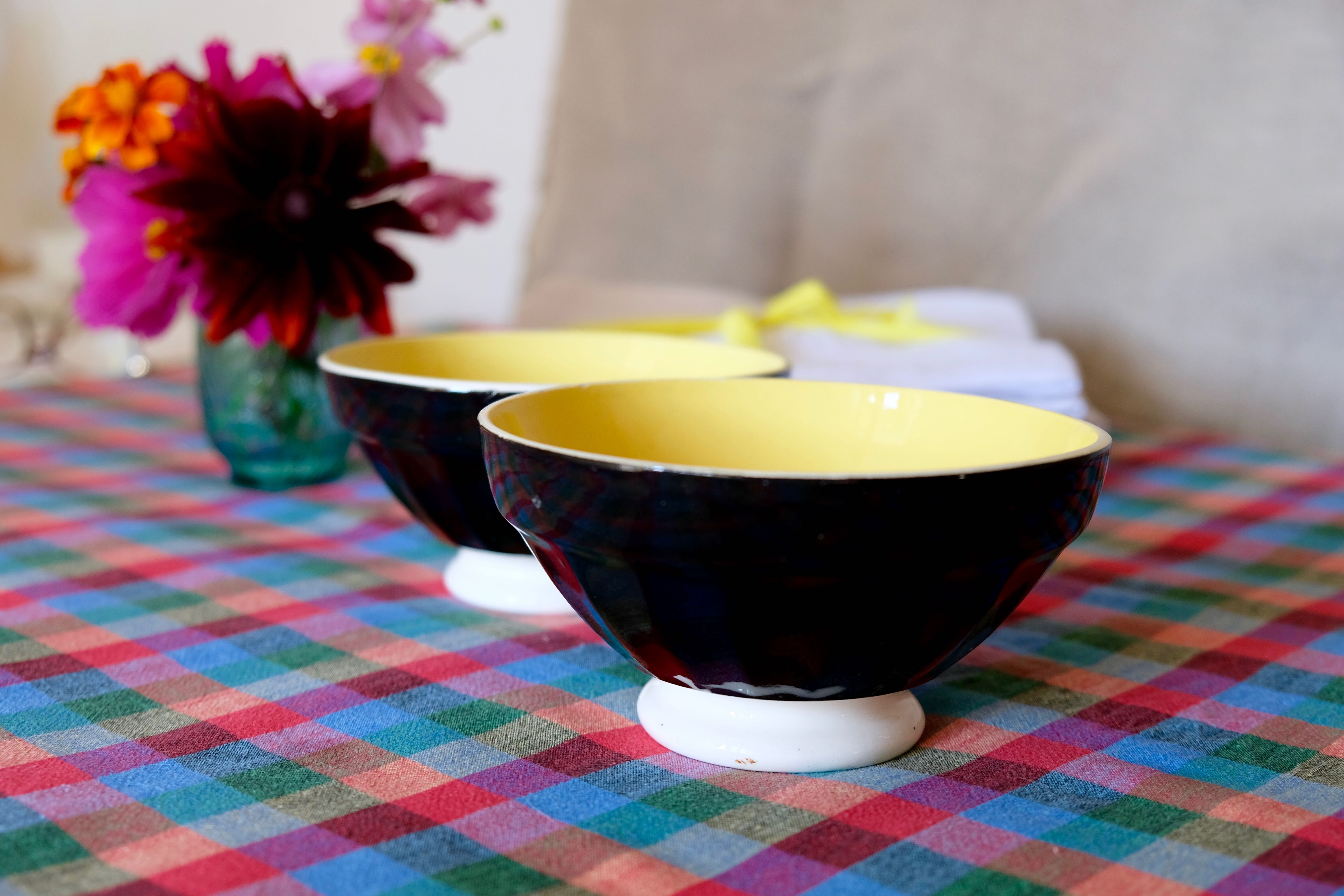 Set 2 bowls Digoin Sarreguemines