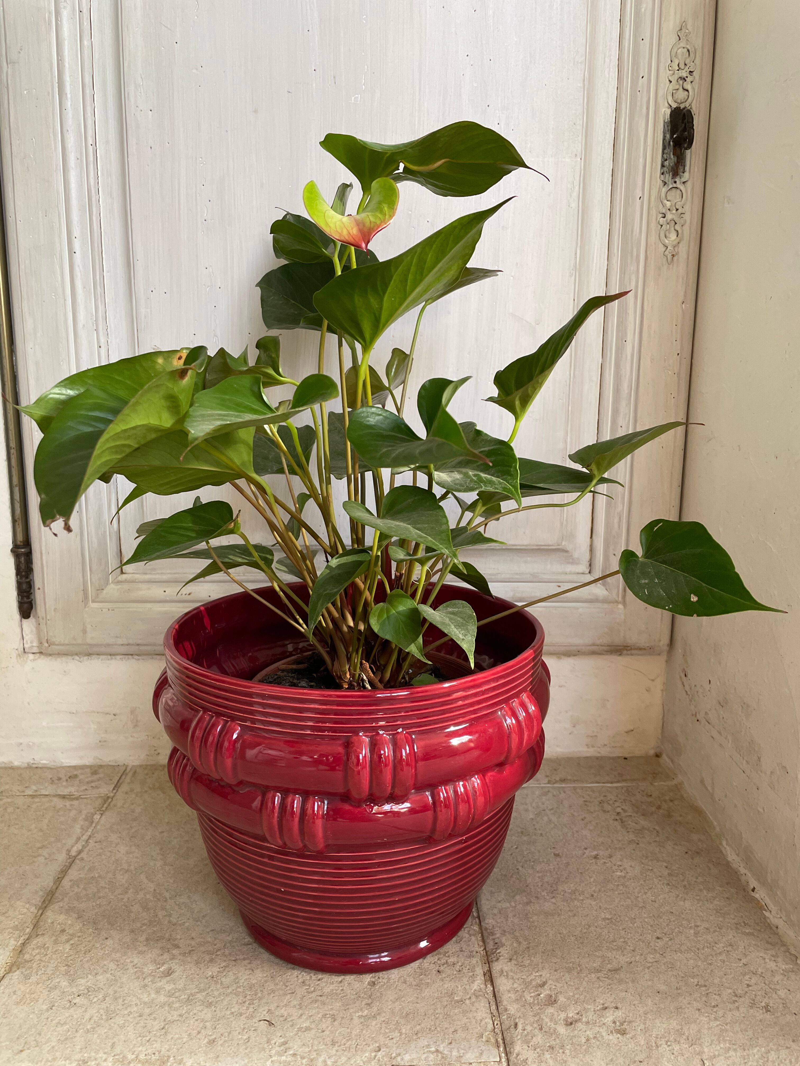 Slurry pot cover St Clément 24cm