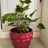 Slurry pot cover St Clément 24cm