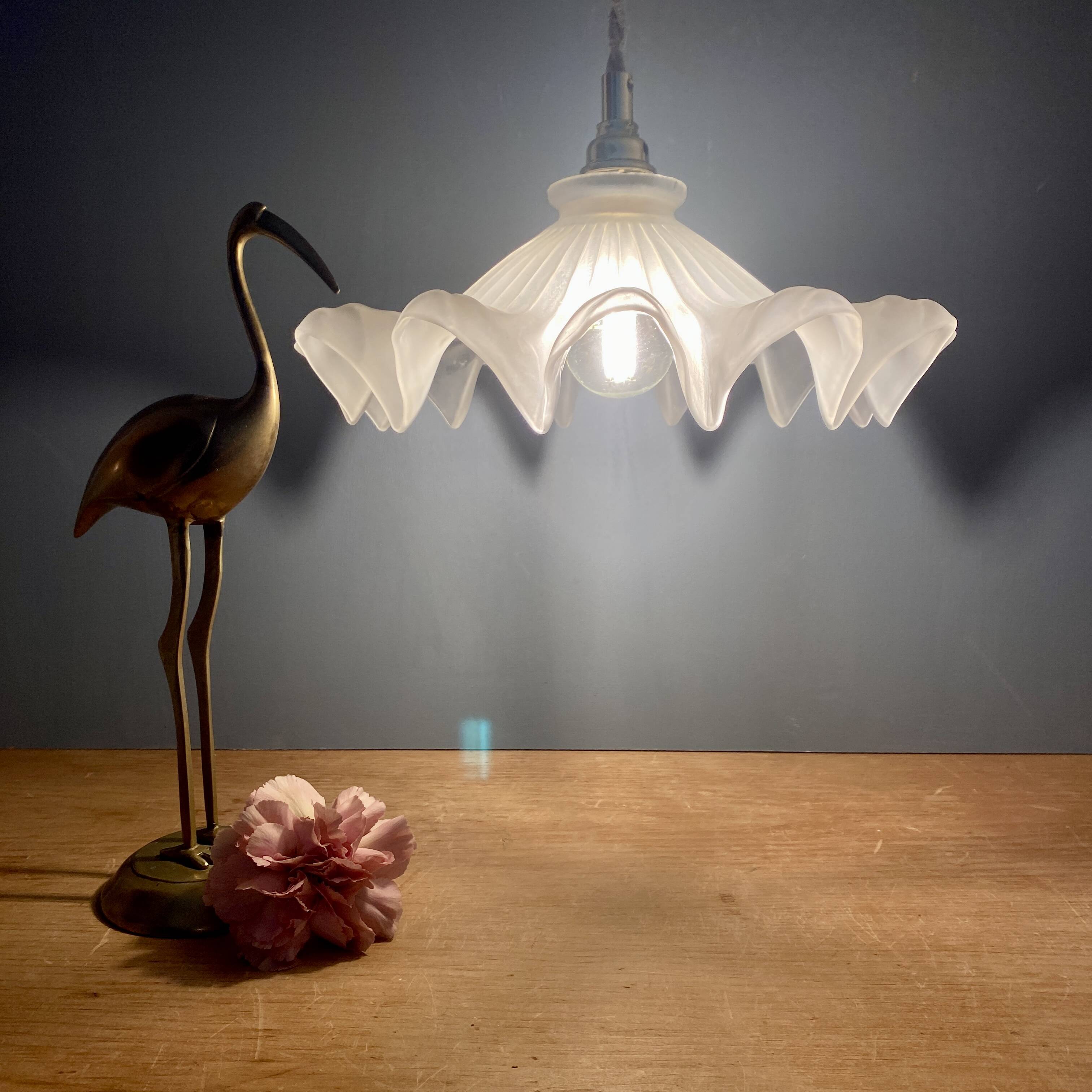 Vintage frosted glass lampshade pendant light
