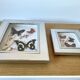 Lot de 2 cadres papillons vintage en métal