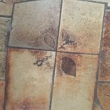 Ceramic table