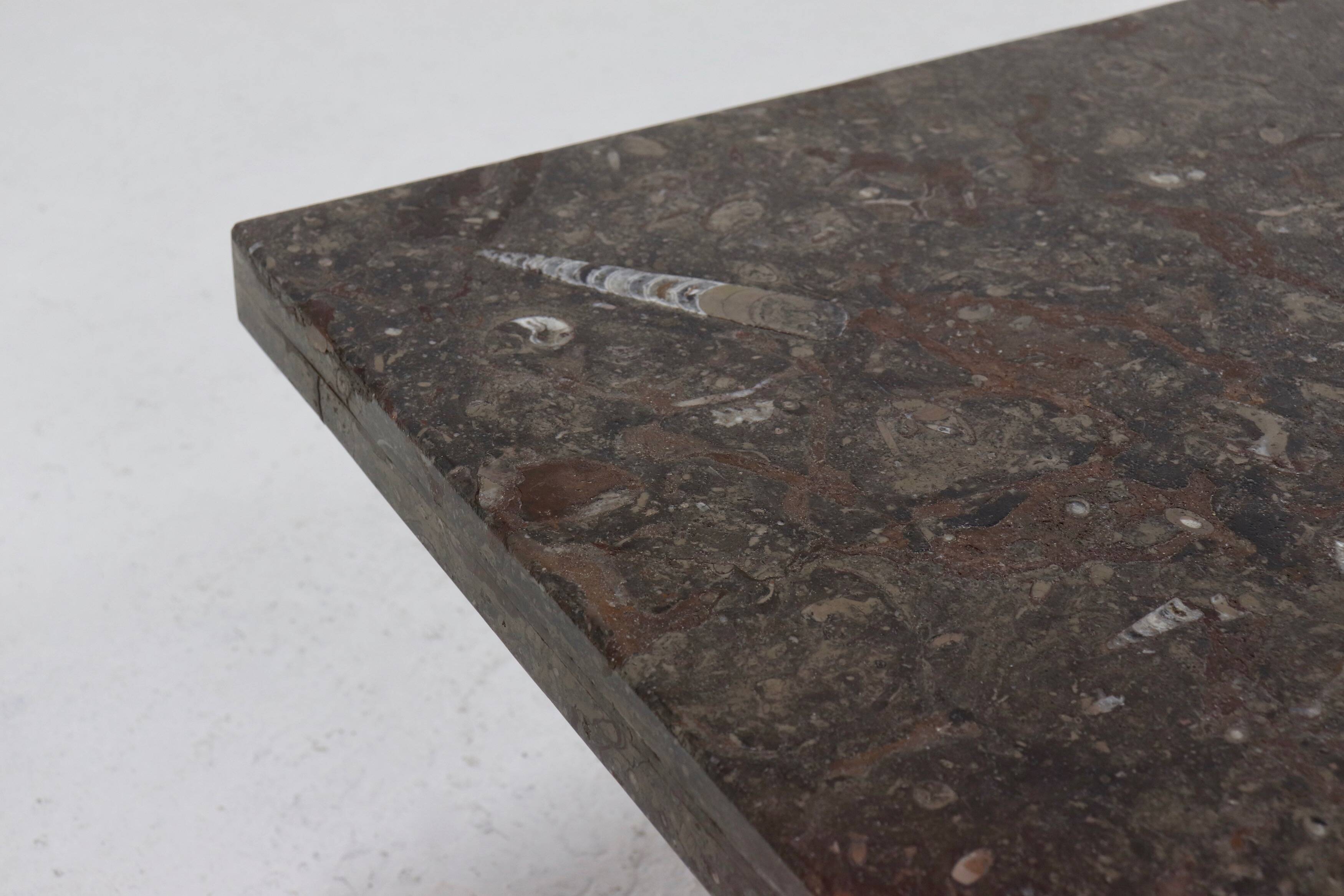 Rare Fossil Stone Coffee Table by Metaform 1970s