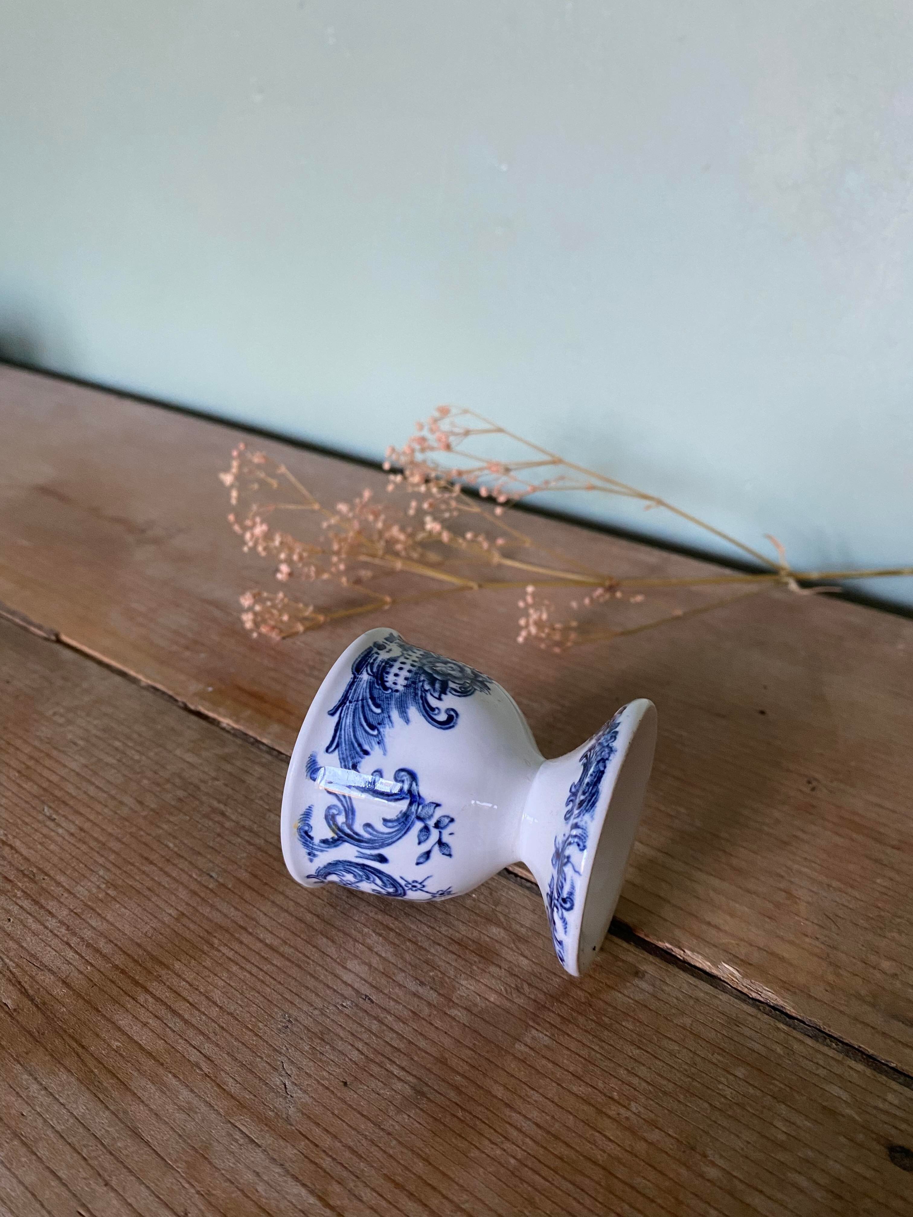 Ancient shell in Iron Land