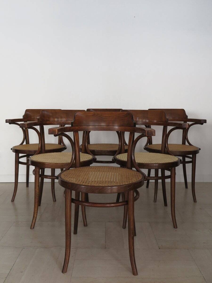 Vintage Chairs by Michael Thonet for Thonet, 1930s, Set of 6