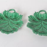 Empty fig leaf pockets