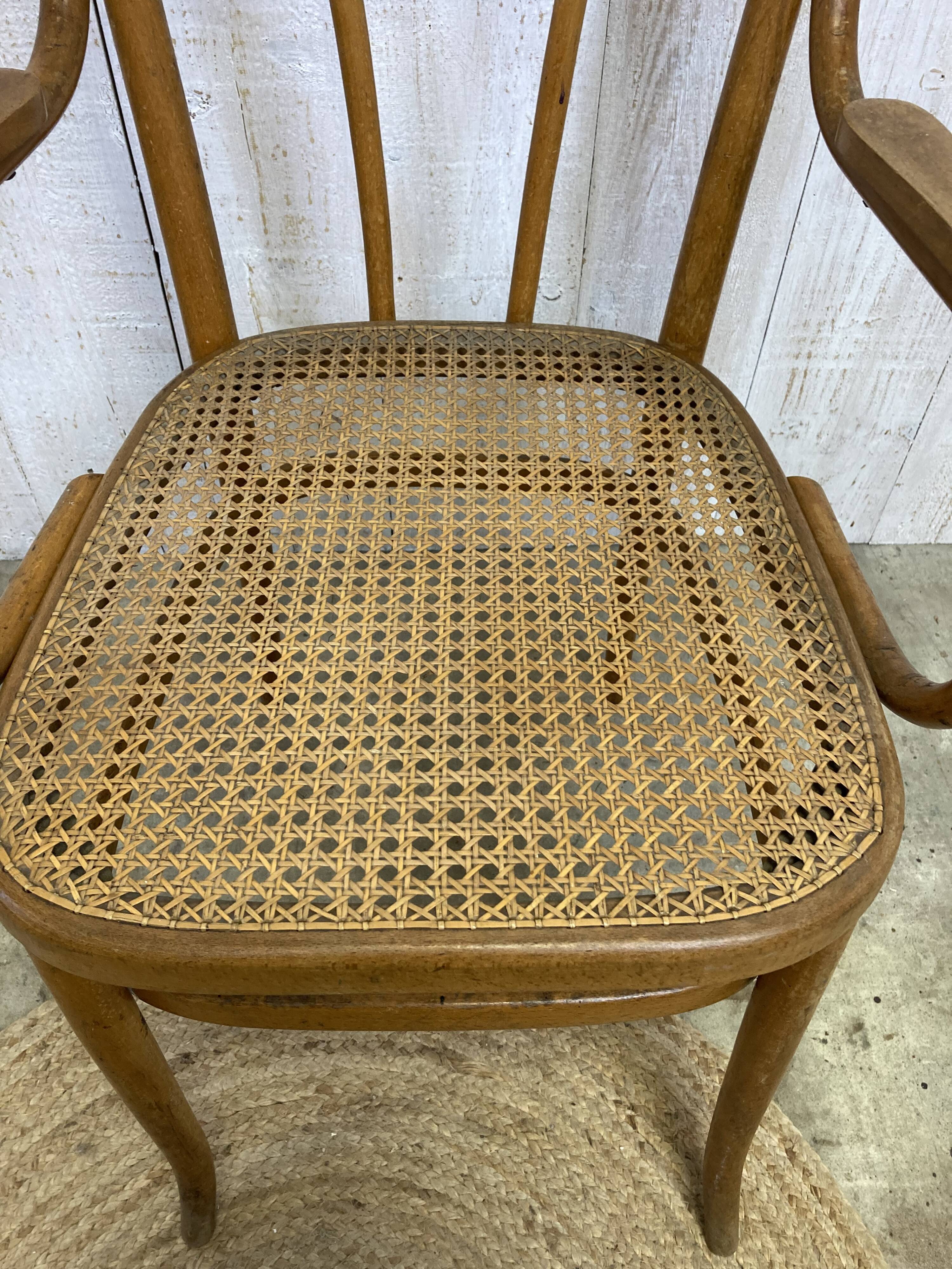 Curved wood and cane armchair